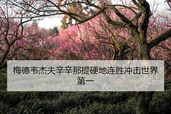 梅德韦杰夫辛辛那提硬地连胜冲击世界第一