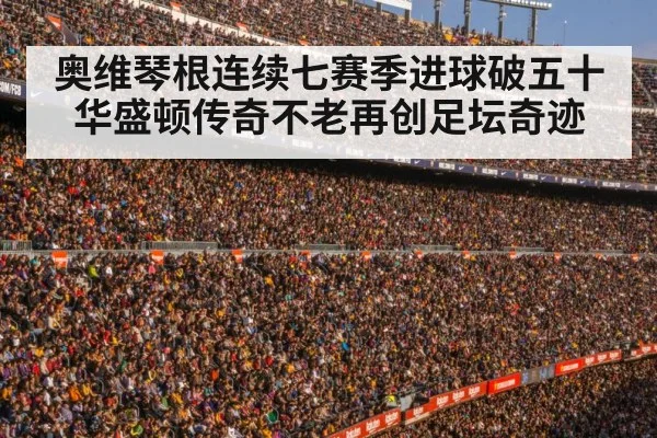 football stadium crowd